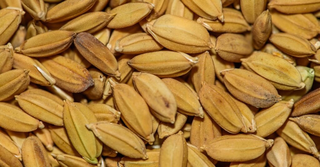 Extreme close-up of organic golden grains, showcasing texture and detail, ideal for food photography.